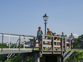A4D%20dg4045%20.JPG