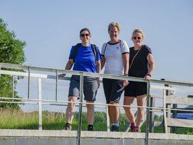 A4D%20dg4054%20.JPG